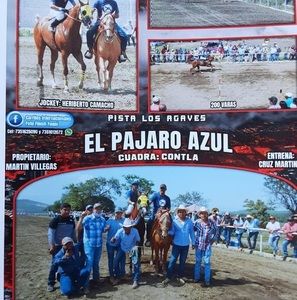 Meet your Posher, Cruz